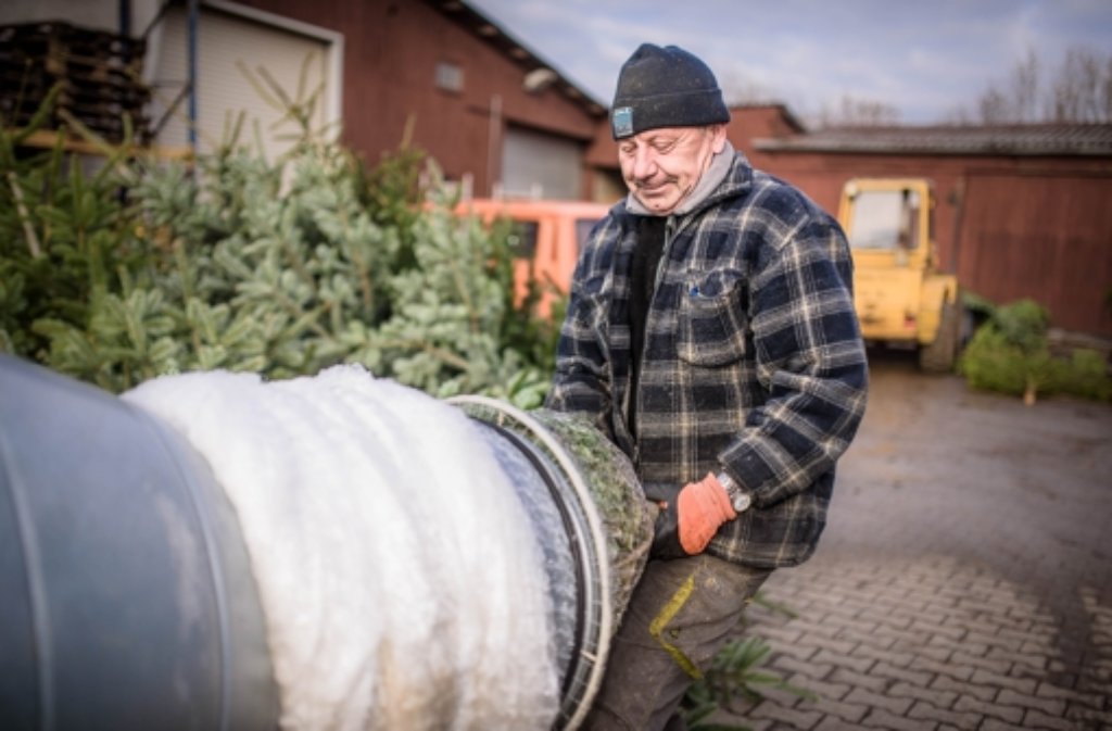 Achim Widera kommt seit 27 Jahren als Saisonarbeiter aus Schlesien nach Deutschland.