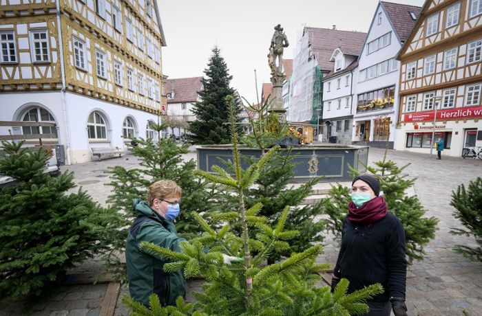 Händler auf den Fildern: Weniger Weihnachtsbäume verkauft als im Vorjahr