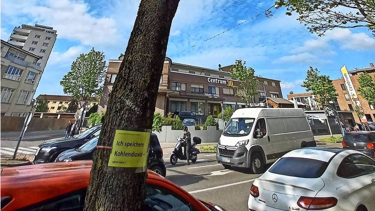 Radschnellweg  in Fellbach: Bäume sollen nicht für Radler weichen