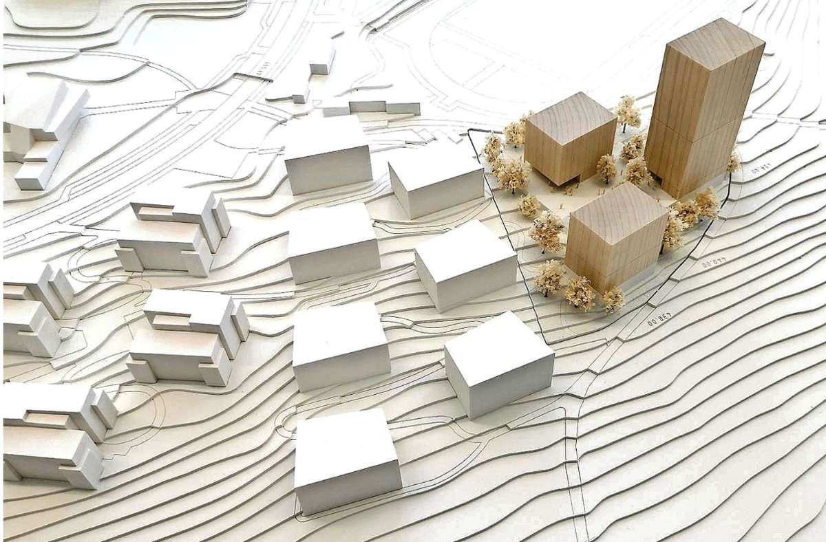Das Architekturbüro Riehle+Assoziierte aus Reutlingen präsentierte den Siegerentwurf für das neue Wohnheim mit 300 Einheiten in drei Gebäuden. Foto: Schreiberplan