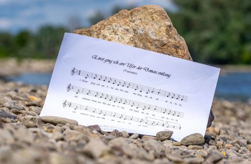 Der Text des Donauliedes hat es in sich. Eine Studentin hat nun eine Online-Petition gegen das Volkslied gestartet. Foto: dpa/Armin Weigel