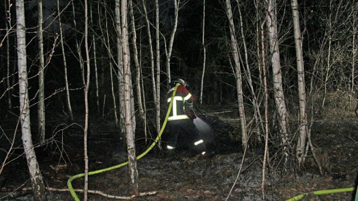 Feuerwehr zu Flächenbrand in Waldstück bei Altdorf ausgerückt