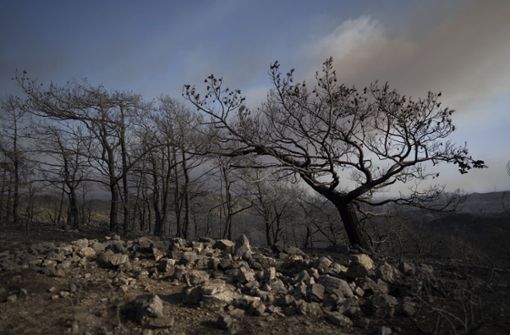 Tagelang wüteten schwere Waldbrände. Foto: dpa/Petros Giannakouris