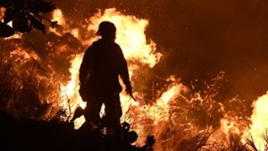 Die Feuerwehr kämpft in Santa Paula (USA) gegen die Flammen. Foto: dpa