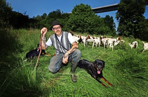 Hier ist er Mensch, hier will er sein: Tibor Wodetzky genießt es, den ganzen Tag mit seinen Hunden, Schafen und Ziegen zu verbringen. Foto: Ines Rudel
