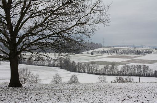 Die Streuobstwiesen auf dem HfWU-Lehr- und Versuchsbetrieb Tachenhausen zeigen sich von ihrer magischen Seite. In diesem Winter lässt der Schnee allerdings noch auf sich warten. Foto: HfWU