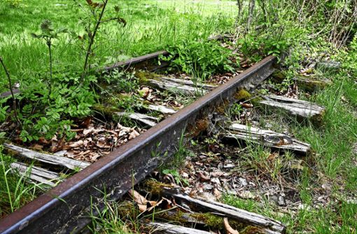 Die Natur hat sich die Gleise der alten Bahn inzwischen zurückerobert. Foto: Archiv (Werner Kuhnle
