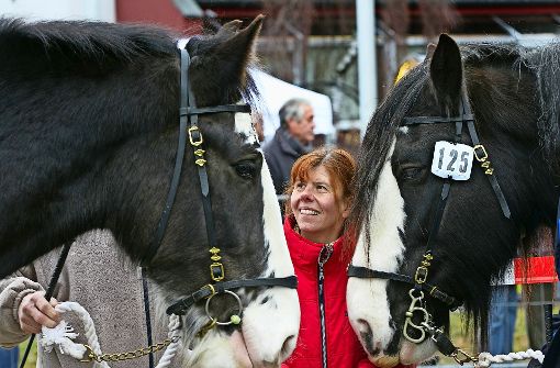 Mensch und Tier Aug’ in Aug’: beim Geislinger Pferdemarkt soll das so sein. Foto: Horst Rudel