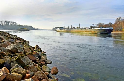 Das Niedrigwasser legt die großen Frachter auf dem Rhein lahm. Doch die Hochwasserzentrale sendet erste Signale der Hoffnung an die Schiffer. Foto: Stefan Jehle