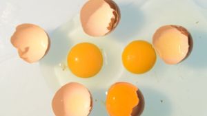 Freiland-Eier aus den Norma-Märkten zurückgerufen
