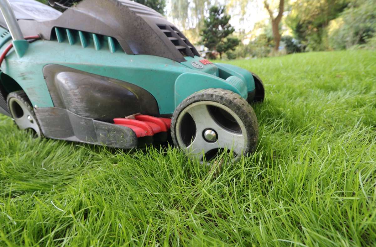 Der Rasenmäher sollte nicht mehr als die Hälfte der Halme auf einmal abschneiden. Foto: Nestor Bachmann/dpa