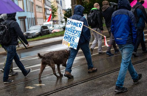 Unterwegs zum Demonstrieren auf dem Cannstatter Wasen. Foto: Lichtgut/Christoph Schmidt