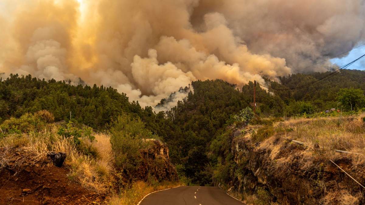 Wo brennt es auf La Palma?