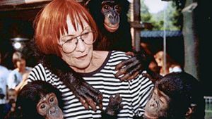 Die Tierpflegerin, die ihre Wohnung mit Affenbabys teilte