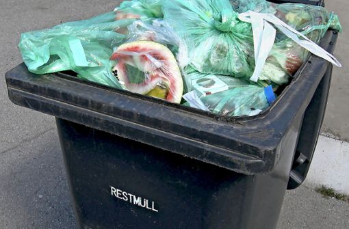 Neue Mülltonnen – um Konflikte zu entschärfen. Foto: /factum/Simon Granville