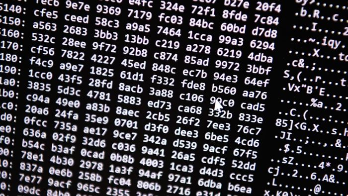 Hackerangriff auf Internetseiten im Nordosten abgewehrt