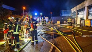 Verband: Feuerwehr als Brandstifter absolute Ausnahme