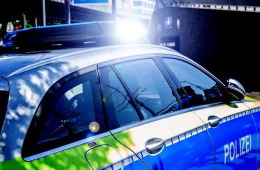 Die Polizei verhaftete in Stuttgart-Mühlhausen zwei mutmaßliche Ladendiebe (Symbolbild). Foto: imago images/Fotostan// K. Schmitt