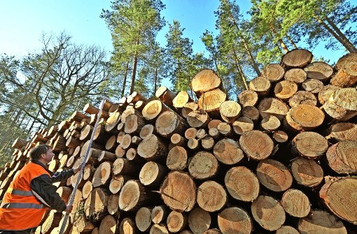 Die Heutingsheimer bekommen auch Holz aus Prevorst. Foto: dpa