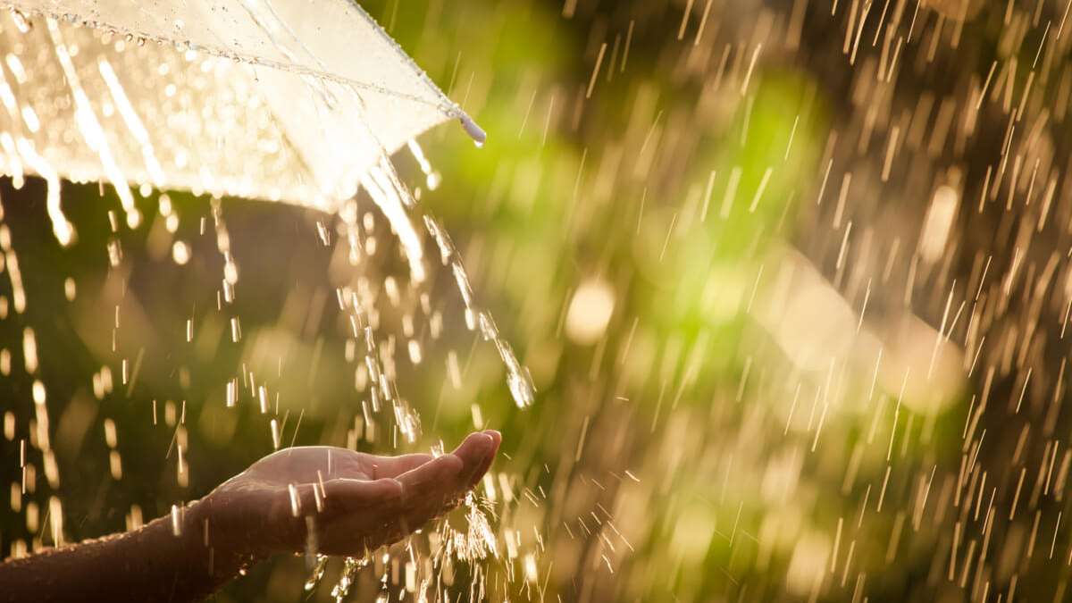 In diesem Artikel zeigen wir Ihnen 40 Ideen, was Sie bei Regenwetter machen können. Die besten Tipps für schlechtes Wetter mit und ohne Geld.