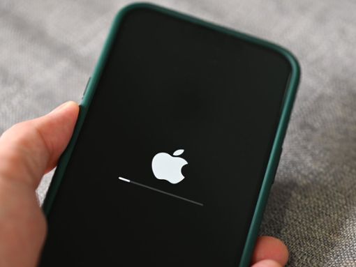 Ist das Update auf iOS 17.4 vollzogen, dürfen EU-Nutzer ihren Standardbrowser selbst festlegen. Foto: Bigc Studio/Shutterstock.com