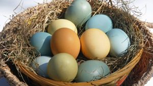 Mittlerweile ist das Färben von Ostereiern mit Naturprodukten besonders beliebt. Foto: IMAGO / CHROMORANGE