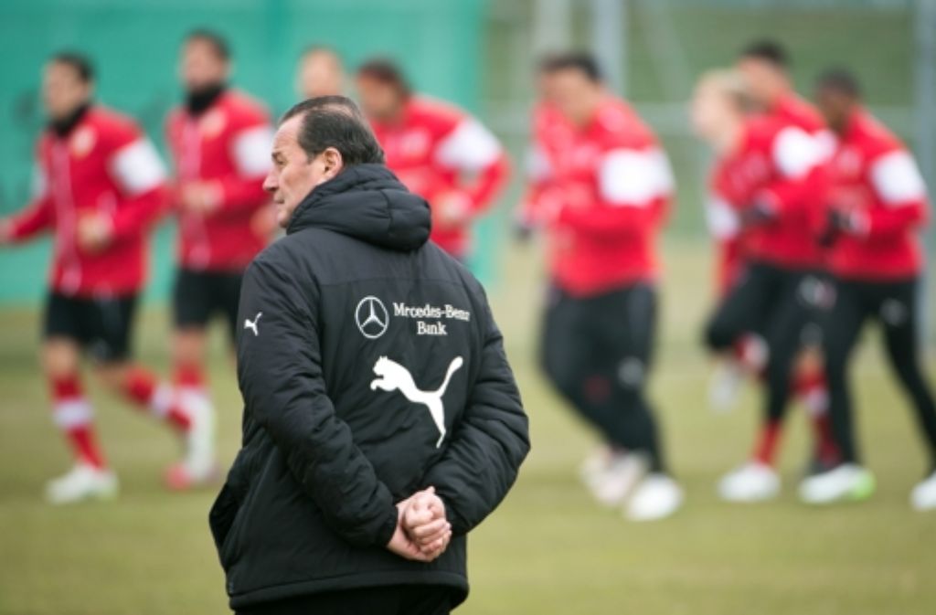 Huub Stevens setzt beim Auswärtsspiel des VfB Stuttgart gegen den FC Augsburg auf folgende Start-Aufstellung.
