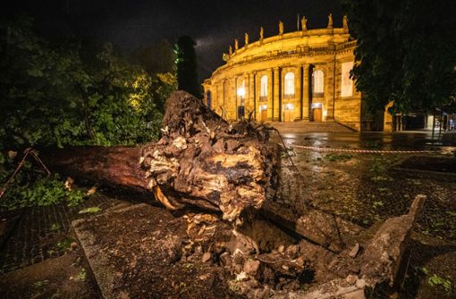 Das Stuttgarter Opernhaus nach dem Sturm am Montagabend Foto: Christoph Schmidt/dpa