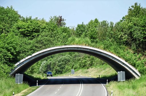 Zwischen Holzgerlingen und Böblingen führt seit 2002 eine Grünbrücke über die B 464. Foto: Eibner-Pressefoto/Sandy Dinkelacker