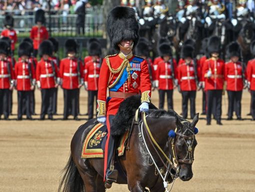 Prinz William bei der letzten Probe für die Trooping the Colour-Parade. Foto: imago/Avalon.red