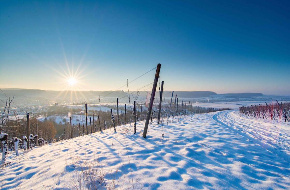 Mitte Februar 2021: Eine Polarluftströmung bringt klirrende Kälte, aber auch sonniges Bilderbuch-Winterwetter mit  einer glitzernden Pulverschneedecke ins Bottwartal. Foto: Yannick Garbe