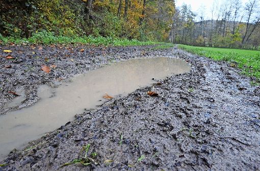 Der etwa 600 Meter lange Abschnitt auf Beilsteiner Gemarkung ist nach Regenfällen in einem nicht gerade wandererfreundlichen Zustand. Foto: Werner Kuhnle