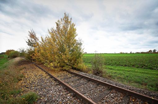 Nicht überall, wo noch Schienen liegen, können auch Züge fahren. Foto: dpa/Sebastian Gollnow