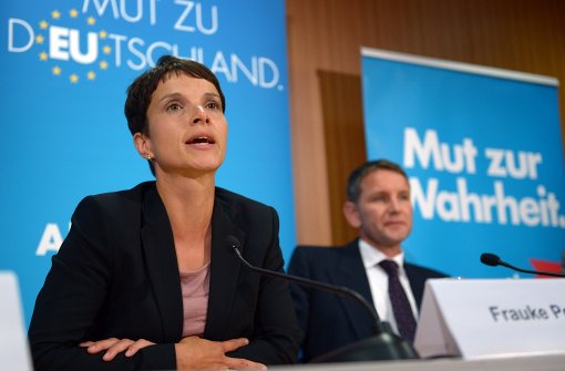 Parteichefin Frauke Petry und der Thüringer Landesvorsitzenden Björn Höcke. Foto: dpa