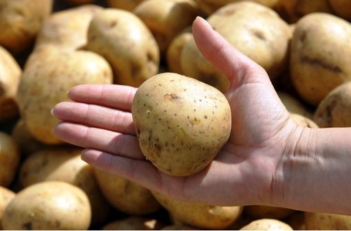 Wurde die Lieblingsknolle der Deutschen jahrelang von einem Kartoffel-Kartell zu überhöhten Preisen verkauft? Diesen Verdacht hegt das Bundeskartellamt.  Foto: dpa