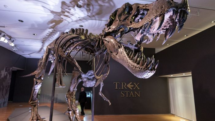 T-Rex-Skelett erzielt Rekordpreis von 27 Millionen Euro