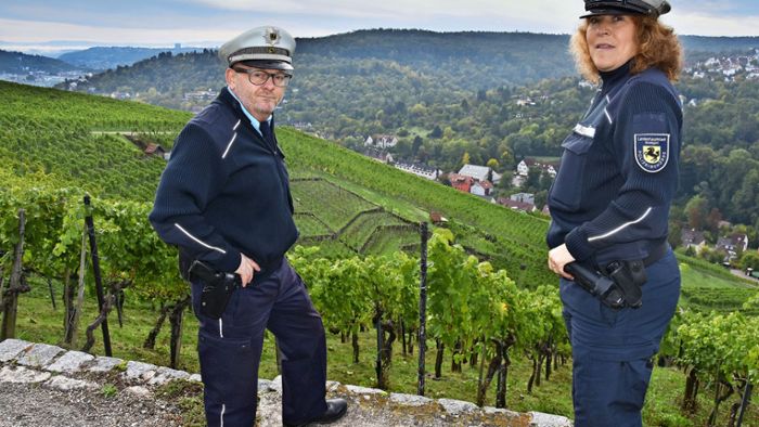 Weinbau in Hedelfingen: Feldschutz hütet während der Lese   die Weinberge