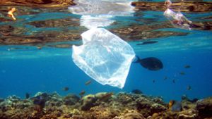 Global Plastic Navigator zeigt Ausmaß der Verschmutzung