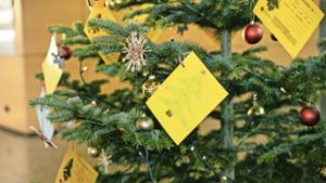 Im Landratsamt und in den Mercaden können Wunschzettel  vom Baum gepflückt werden. Foto: Stefanie Schlecht