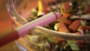 Forscher wollen striktes Rauchverbot