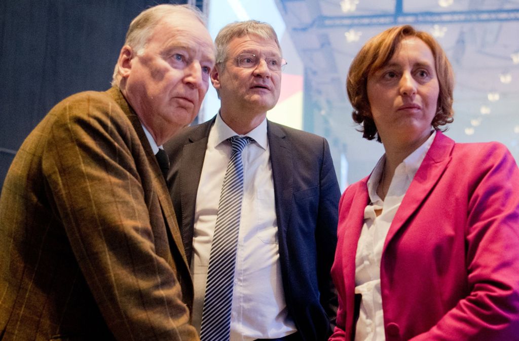 Beatrix von Storch mit den beiden AfD-Bundesvorsitzenden Alexander Gauland und Jörg Meuthen (Mitte). Alle lieben sie die Provokation. Foto: dpa