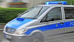 Nach einer Verkehrsunfallflucht am Sonntag gegen 16.30 Uhr auf der Kreisstraße zwischen Höpfigheim und Mundelsheim sucht die Polizei einen auffällig lackierten A 6. Foto: dpa/Patrick Seeger