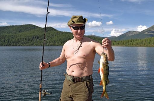 Oben ohne: Putin macht den Macho in Sibirien. Foto: POOL SPUTNIK KREMLIN/AP