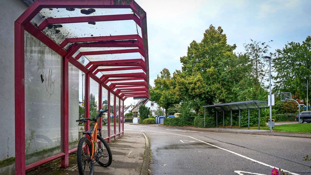 Verdi-Streik der Busfahrer: 70 Kinder müssen in Rutesheim warten