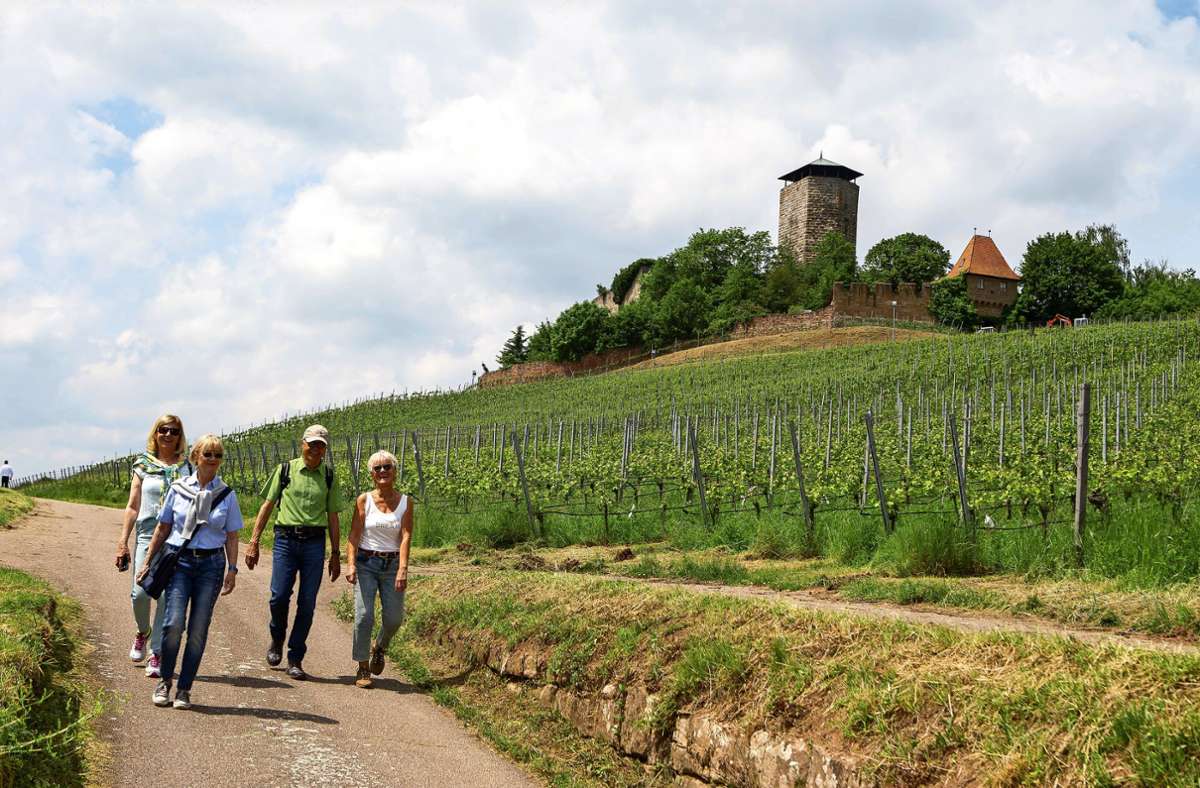 Ein Rundweg führt die Wanderer an der Burg Hohenbeilstein entlang. Foto: Archiv (Oliver Buerkle)