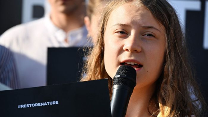 Greta  Thunberg protestiert vor Europa-Parlament