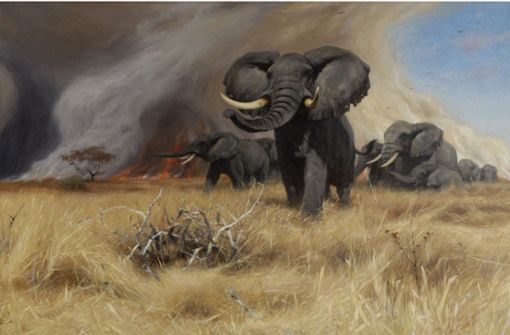 Wilhelm Kuhnerts Blick auf die Wildnis: „Elefanten“ (1917) Foto: JKM Collection®, National Museum of Wildlife Art, Jackson, Wyoming, USA