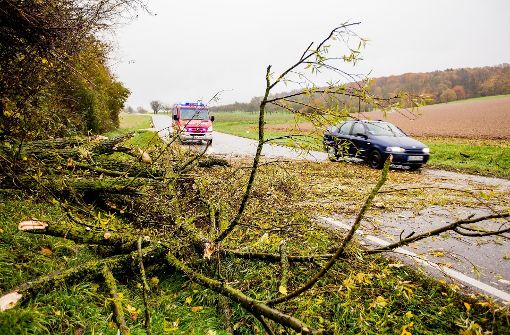 Dem gestern im Kreis wütendem Sturm  hielt dieser Baum an der L1127 nicht stand. Foto: KS-Images.de