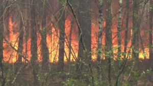 Waldbrandgefahr im ganzen Land auf höchster Stufe