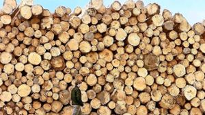 Bei Forstreform legt sich Land mit Kartellamt an